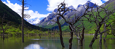 阿坝州-小金县-四姑娘山·双桥沟·隆珠措（盆景滩）风景区