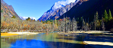 阿坝州-小金县-四姑娘山·长坪沟·枯树滩（古战场遗址）风景区