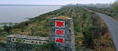 淮安市-淮阴区-高家堰镇-大运河（里运河）高家堰（运河大堤）风景区