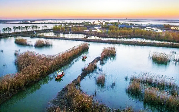 扬州市-高邮市-高邮湖·芦苇荡湿地公园（大运河）风景旅游区