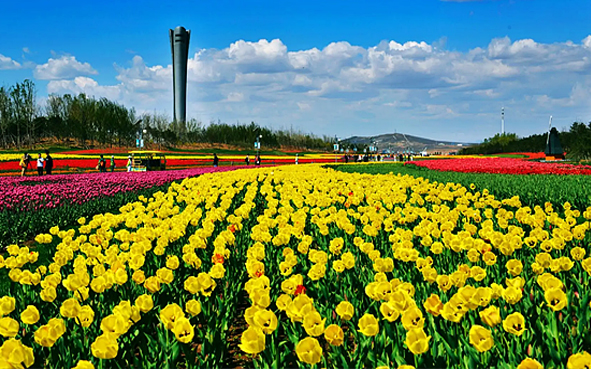 锦州市-太和区-锦州世博园·风景旅游区