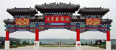 北京市-大兴区-采育镇-采育葡萄园·风景旅游区