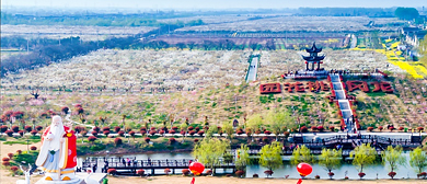 盐城市-盐都区-龙冈镇-龙冈桃花园·风景旅游区|4A