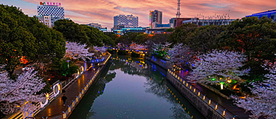 苏州市-张家港-谷渎港（滨河）风景旅游区