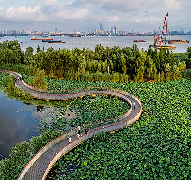 南京市-浦口区-浦口滨江湿地公园·长江（滨江）风景区