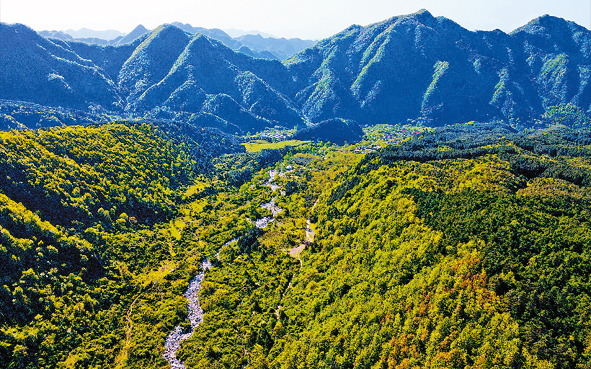 商洛市-洛南县-秦岭·草链岭（洛河源头·2465米）风景区