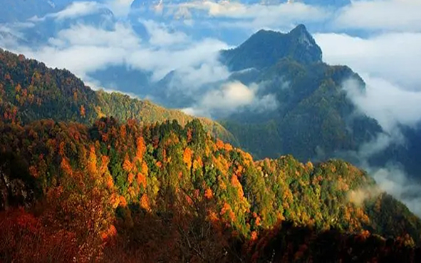 汉中市-西乡县-米仓山国家级自然保护区