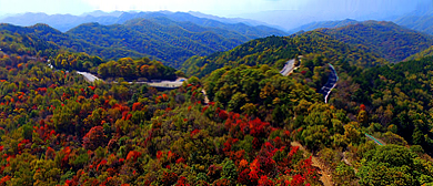 延安市-黄龙县-黄龙山·神道岭风景区