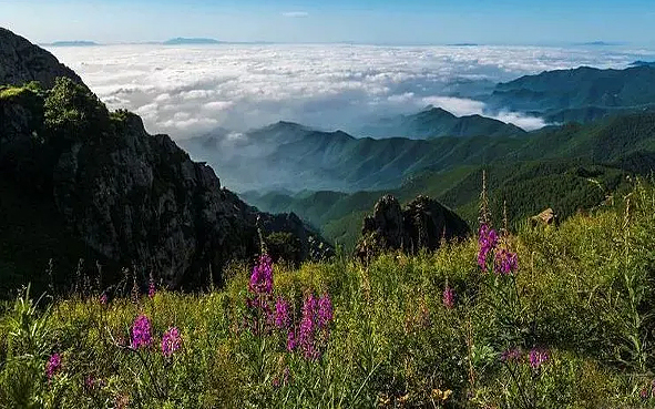 固原市-原州区-云雾山国家级自然保护区