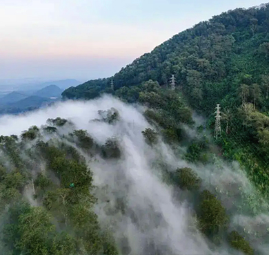 海南省-白沙县-九架岭热带雨林风景区