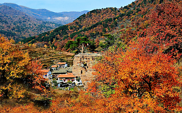 临汾市-霍州市-太岳山国家森林公园·霍山七里峪风景旅游区|4A