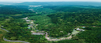 南宁市-兴宁区-高峰森林公园·风景旅游区|4A