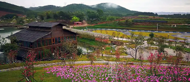 南宁市-邕宁区-那贵坡樱花园·风景旅游区|4A