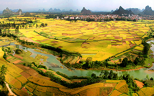 南宁市-隆安县-隆安稻田（稻作文化·那文化)风景旅游区