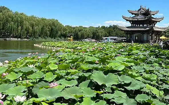 北京市-西城区-陶然亭公园·风景旅游区|4A