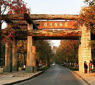 杭州市-西湖区-杭州植物园
