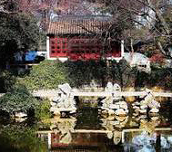 上海市-青浦区-城厢镇-曲水园