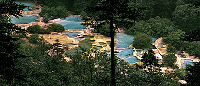 阿坝州-松潘县-黄龙乡-黄龙（黄龙国家地质公园·黄龙国家级风景名胜区）风景旅游区|5A