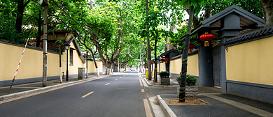 南京市-鼓楼区-颐和路（|民|民国公馆建筑群）中国历史文化街区