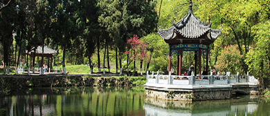 襄阳市-襄城区-古隆中（|明-清|建筑群·武侯祠）国家级风景名胜区|5A