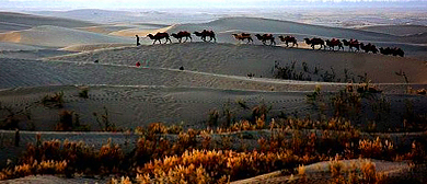 喀什地区-岳普湖县-达瓦昆沙漠（达瓦昆湖）风景旅游区|4A