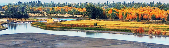 喀什地区-泽普县-金湖杨（叶尔羌河·胡杨林）国家森林公园|5A