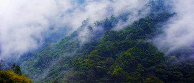 雅安市-天全县-喇叭河镇-白沙河风景区