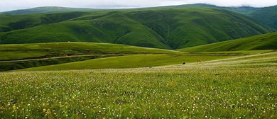 甘孜州-道孚县-玉科大草原风景区