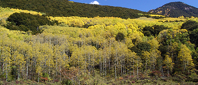 甘孜州-白玉县-山岩乡-金沙江·火龙沟（山岩戈巴文化）自然保护区