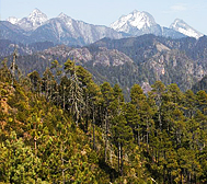 丽江市-玉龙县-老君山·金丝厂（玉峰4515米）风景区