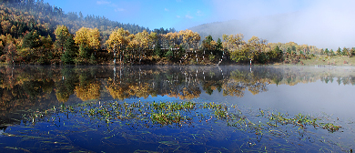 迪庆州-香格里拉市-普达措·属都湖风景区