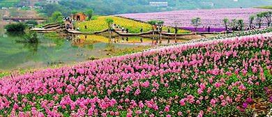 泸州市-纳溪区-大渡口镇-民强村-花田酒地风景旅游区|4A