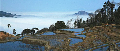 红河州-金平县-分水岭国家级自然保护区