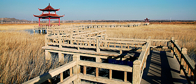 石嘴山市-惠农区-石嘴子公园·黄河（滨河）风景旅游区