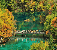 阿坝州-九寨沟县-九寨沟·日则沟（五花海·熊猫海·天鹅海）风景旅游区