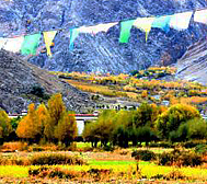 拉萨市-尼木县-吞巴乡-吞达村（吞巴藏香古村）尼木国家森林公园