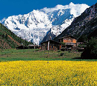 林芝市-波密县-玉普乡-米堆村·米堆冰川风景旅游区|4A